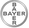 Bayer | Partner | Luftballonmodellage | Luftballon-Künstler